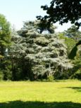 Paysage naturelle � Beaucourt