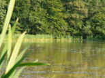 Etang � Chavanatte