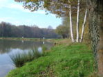 Etang � Chavannes Les Grands