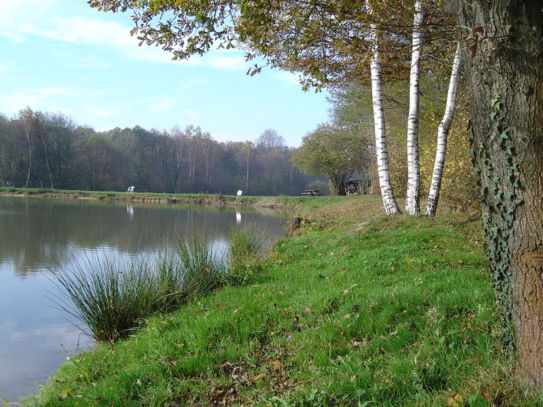 Etang � Chavannes Les Grands