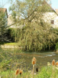 L'Allaine, rivi�re traversant Grandvillars