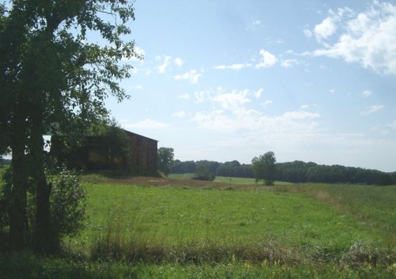 Prairie � Lepuix-Neuf