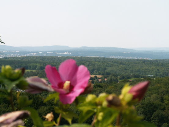 Panorama � Montbouton