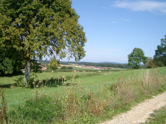 Paysage rurale � Villars-le-Sec