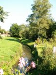 La Suarcine, petite rivi�re traversant Suarce