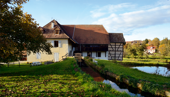 courtelevant