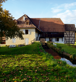 courtelevant