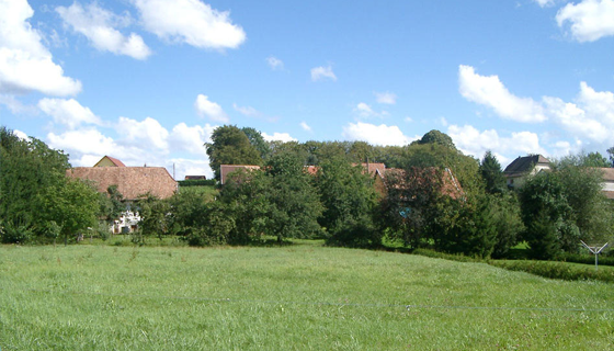 faverois