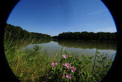 Etang Fourchu - Thiebaut