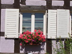 Fenêtres fleuries à Suarce