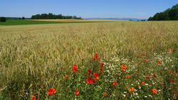 Paysage du  Sud Territoire Thiebaut