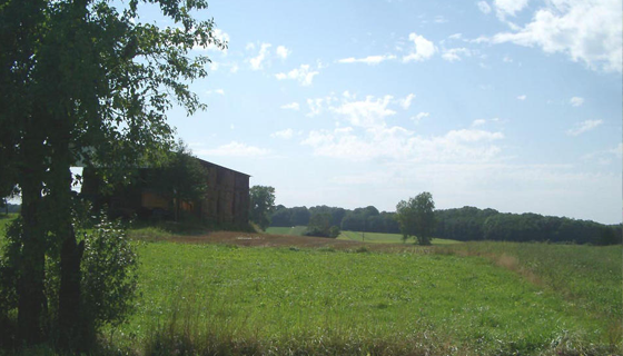 lepuix